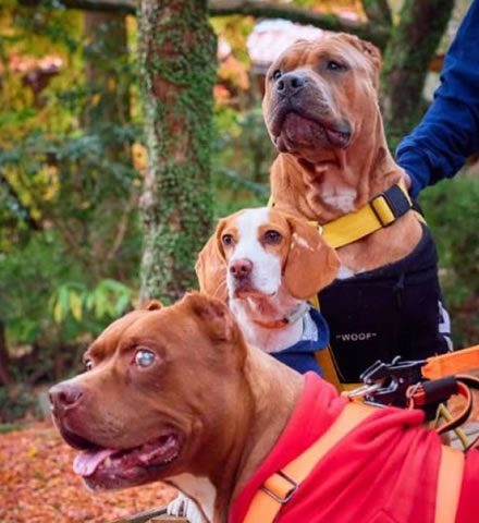 56 Gorou Foods誕生秘話