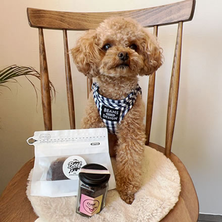 食いつき率95%！国産佐賀牛使用