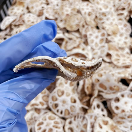 犬の管理栄養士が一つひとつ手作り